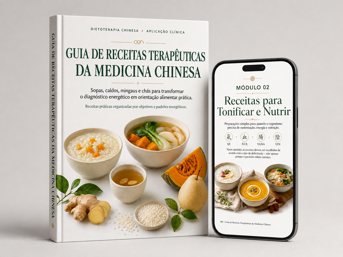 Guia de receitas terapêuticas